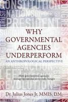 Why Governmental Agencies Underperform: How governmental agencies manage operational ecosystem changes 1944255788 Book Cover