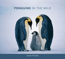 Penguins in the Wild 0262019604 Book Cover