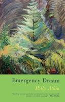 Emergency Dream 1781727953 Book Cover