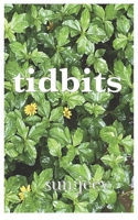 tidbits: from a vacation B0GPKTGRY3 Book Cover