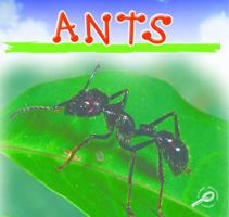 Ants 159515650X Book Cover