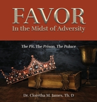 FAVOR In the Midst of Adversity: The Pit, The Prison, The Palace B0DWW16HKL Book Cover