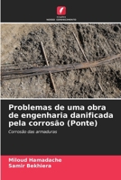 Problemas de uma obra de engenharia danificada pela corrosão (Ponte) 6630242327 Book Cover