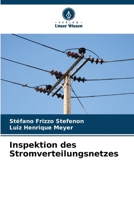 Inspektion des Stromverteilungsnetzes (German Edition) 6209772404 Book Cover