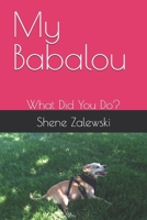 My Babalou: What Did You Do? B0DTDZ12K1 Book Cover