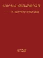 Amalgamation and Development Between Intellectual Property Law and International Law 1468531131 Book Cover