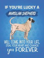 If You're Lucky A Anatolian Shepherd Will Come Into Your Life, Steal Your Heart And Change You Forever: Composition Notebook for Dog and Puppy Lovers 1082512516 Book Cover