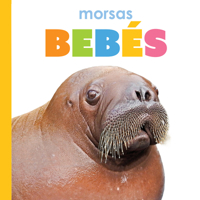 Morsas Bebés: Spanish Edition B0F546HBCL Book Cover