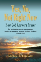 YES, NO, NOT RIGHT NOW: How God Answers Prayer 1634900189 Book Cover
