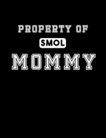 Property of Mommy: MDLB MDLG BDSM Adult Diary Notebook 100 lined pages 1675919577 Book Cover