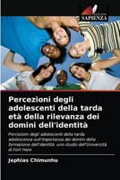 Percezioni degli adolescenti della tarda età della rilevanza dei domini dell'identità 6203644498 Book Cover