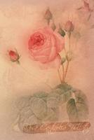 Rosa Centifolia Bullata: Floral Notebook with Flower Illustrations on Every Page 1090577796 Book Cover