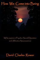 How We Come Into Being: MSc papers in Psycho-Social Dynamics and Affective Neuroscience 151142706X Book Cover