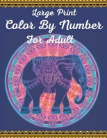 Large Print Color By Number For Adult: Large Print Color By Numbers Butterflies & Gardens Coloring Book For Adults: Easy and Simple Large Pictures Adult Color By Numbers Coloring Book B08W5QW28N Book Cover
