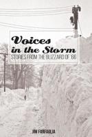 Voices in the Storm: Stories from the Blizzard of '66 1514830035 Book Cover