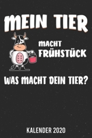 Kalender 2020: Kuh A5 Kalender Planer für ein erfolgreiches Jahr - 110 Seiten (German Edition) 1671848438 Book Cover