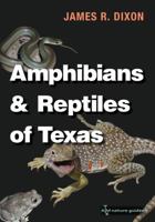 Amphibians and Reptiles of Texas: With Keys, Taxonomic Synopses, Bibliography, and Distribution Maps 0890963584 Book Cover