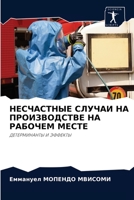 НЕСЧАСТНЫЕ СЛУЧАИ НА ПРОИЗВОДСТВЕ НА РАБО 6204051296 Book Cover