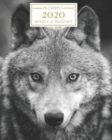 2020: Weekly and Monthly Planner/Calendar Jan 2020 – Dec 2020 Black and White Serene Wolf 169856662X Book Cover