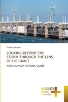 Looking Beyond the Storm Through the Lens of His Grace 6204188488 Book Cover