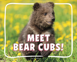 Meet Bear Cubs! (Adorable Baby Animals) B0GHQBZYQ2 Book Cover