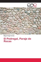 El Pedregal, Paraje de Rocas 6200426473 Book Cover