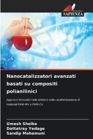 Nanocatalizzatori avanzati basati su compositi polianilinici (Italian Edition) 6209327028 Book Cover