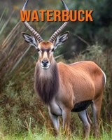 Waterbuck: Amazing Photos and Fun Facts Book for kids B0CF45D4ND Book Cover