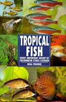 Tropical Fish