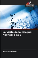 La visita della cicogna: Neonati e GBS (Italian Edition) 620236839X Book Cover
