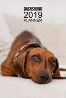 Dachshund Planner: Notebook and Organizer for 2019 1730708978 Book Cover
