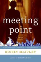Meeting Point: A Novel 0060737913 Book Cover