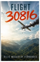 Flight 30816 (The Flight Series) B0HC1G1SYR Book Cover