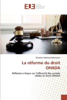 La réforme du droit OHADA: Réflexion critique sur l’efficacité des suretés réelles en droit OHADA 6139568846 Book Cover