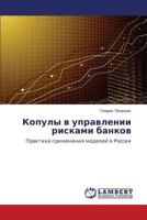 Копулы в управлении рисками банков: Практика применения моделей в России 3843318344 Book Cover