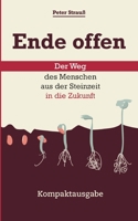 Ende offen - Der Weg des Menschen aus der Steinzeit in die Zukunft: Kompaktausgabe 3347409833 Book Cover
