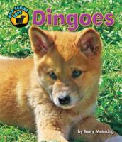 Dingoes 1617729302 Book Cover
