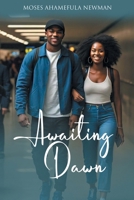 Awaiting Dawn B0DS6LQ79W Book Cover