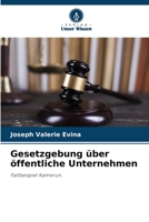 Gesetzgebung über öffentliche Unternehmen 6203448141 Book Cover
