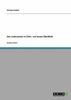 Das Lachscluster in Chile - ein kurzer �berblick 3638938735 Book Cover