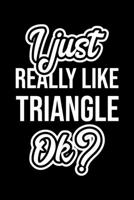 I Just Really Like Triangle Ok?: Christmas Gift for Triangle lover Funny Triangle Journal Nice 2019 Christmas Present for Triangle 6x9inch 120 pages 1702348997 Book Cover