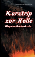 Kurztrip zur Hölle Diagnose Rachenkrebs (German Edition) 3750435197 Book Cover