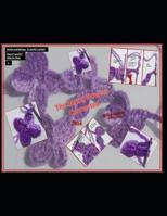 The Spring Flowers Connected (Part2): Series Workshops in World Crochet, Step by Step 1091503486 Book Cover