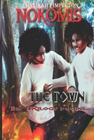 Nokomis (The Town): First Installment in Nokomis The Series 0578793946 Book Cover
