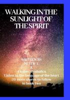 Walking in the sunlight of the spiritJourneys in sobriety 036827909X Book Cover
