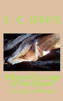 Ackmed Scourge of the Desert: {or a Pain on the Ass} 1453634355 Book Cover