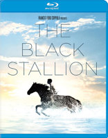 The Black Stallion (1979)