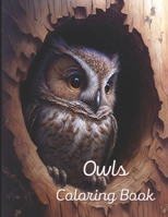 Owl Coloring Book: A painting fun for children and adults. Book Cover 2 B0BSC55XD9 Book Cover