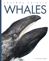 Whales 0898129303 Book Cover