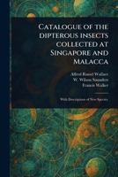 Catalogue of the Dipterous Insects Collected at Singapore and Malacca 1023472651 Book Cover